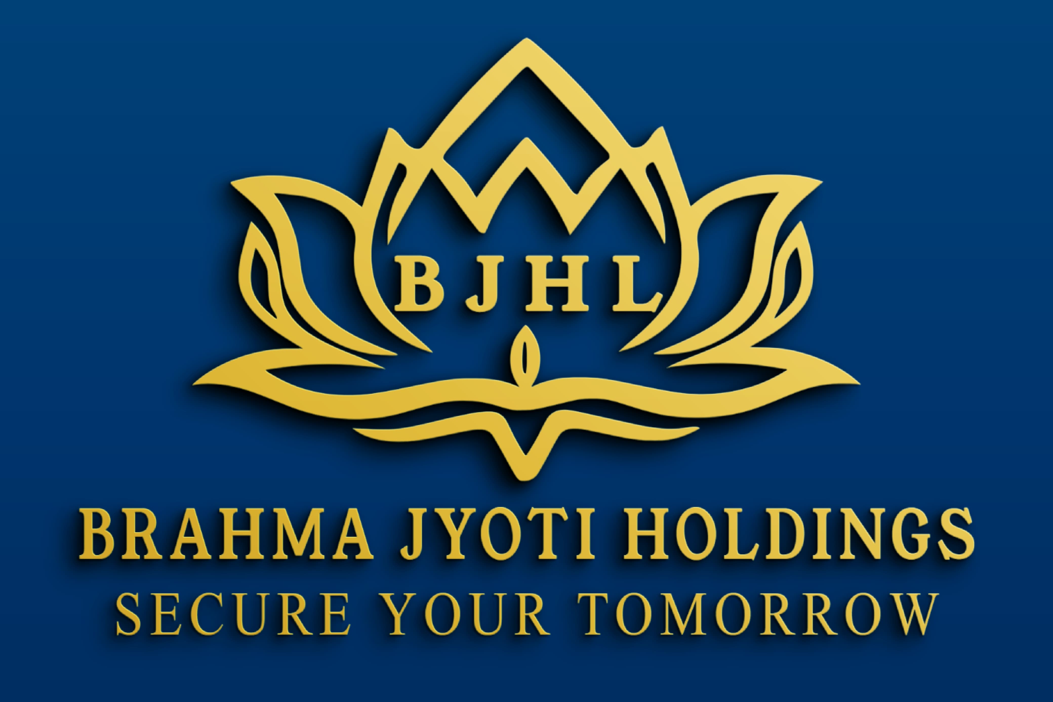 Brahma Jyoti Holdings Limited (1)