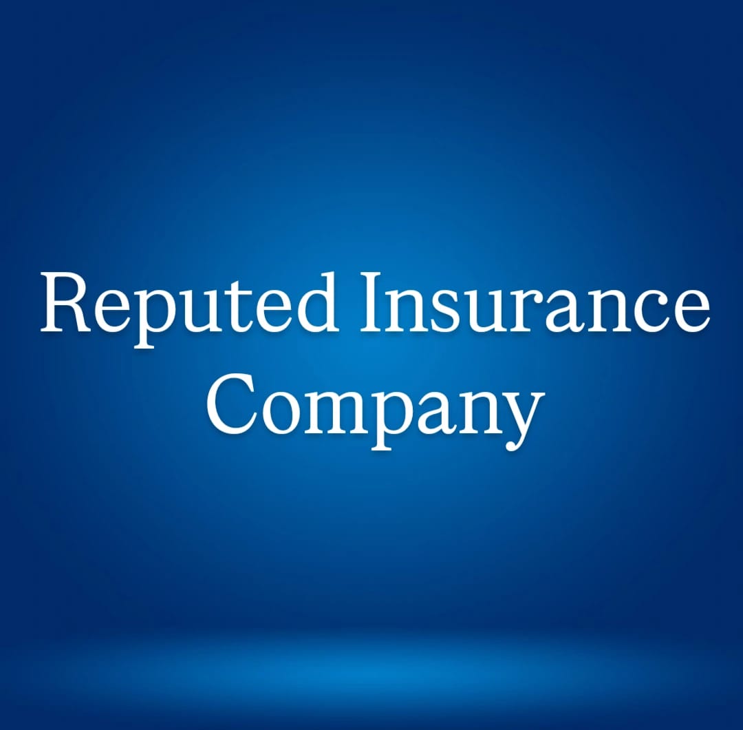 A Reputed Insurance Company (1)