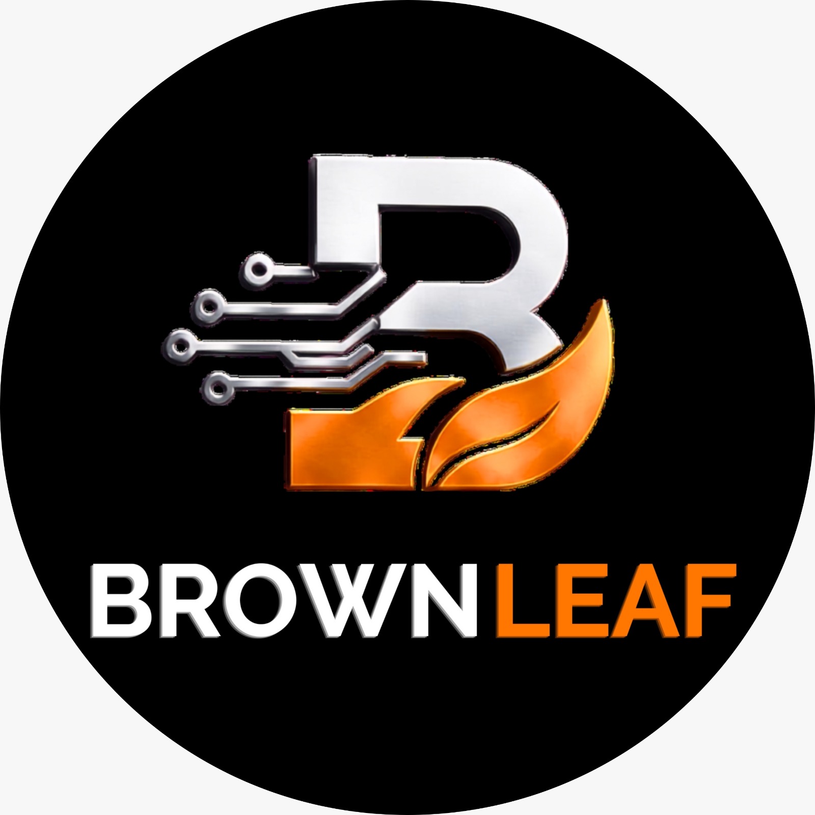 Brown Leaf IT Pvt. Ltd